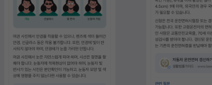 [12월 16일 마케팅 뉴스클리핑] 네이버 AI 검색 비중 20% 돌파 외