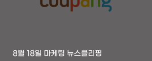 [8월 18일 마케팅 뉴스클리핑] 경쟁력 잃은 이커머스 적자 행렬 쿠팡 위주 시장 재편되나 외