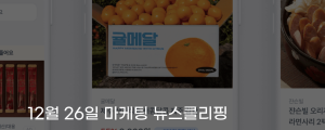 [12월 26일 마케팅 뉴스클리핑] 결제에서 쇼핑까지 토스, 데이터 기반 커머스 강자로 부상 외